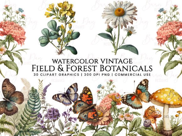 Download Field &amp; Forest Vintage Botanical Clipart - Premium Resources