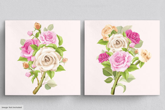 Download Beautiful Roses Hand Drawn Illustrations - Hand drawn illustrations Collection