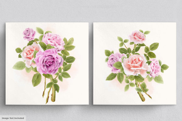 Download Beautiful Roses Hand Drawn Illustrations - Hand drawn illustrations Collection