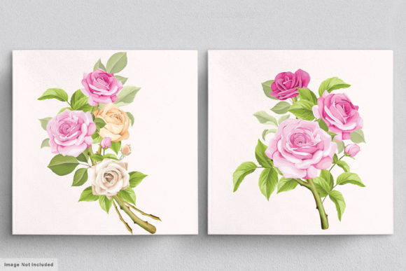 Download Beautiful Roses Hand Drawn Illustrations - Hand drawn illustrations Collection